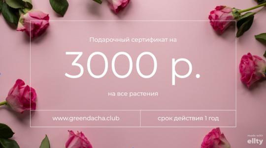 Подарочная карта на 3000 рублей