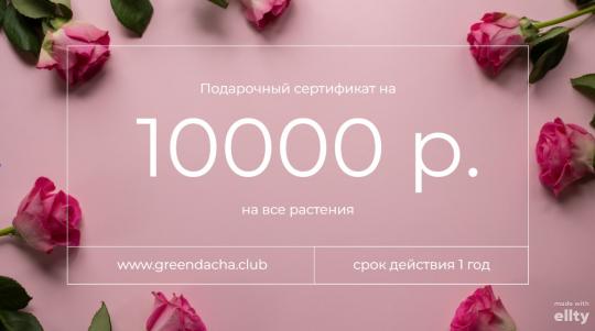 Подарочная карта на 10000 рублей